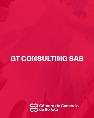 GT CONSULTING SAS