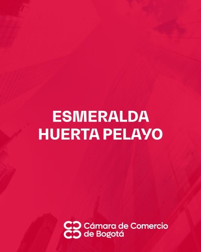 ESMERALDA HUERTA PELAYO