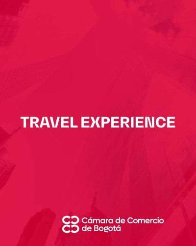 TRAVEL EXPERIENCE