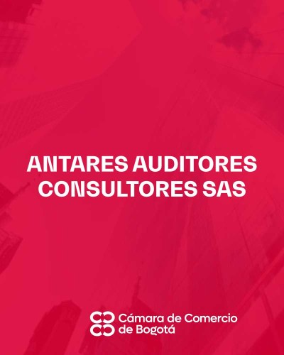ANTARES AUDITORES CONSULTORES SAS