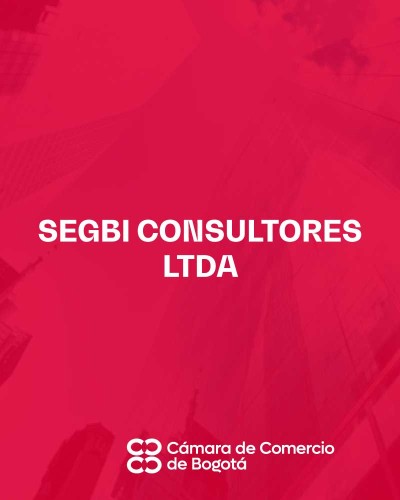 SEGBI CONSULTORES LTDA