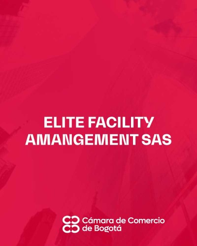 ELITE FACILITY AMANGEMENT SAS