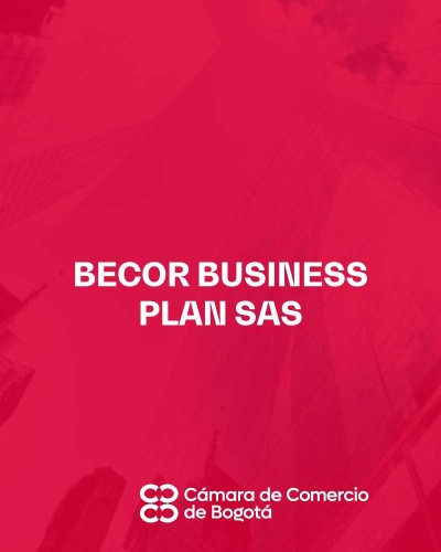 BECOR BUSINESS PLAN SAS
