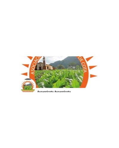 ASOCIACION DE AGRICULTORES DE COTA
