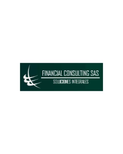 FINANCIAL CONSULTING SAS