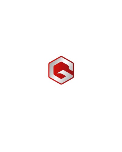 QG SOLUTIONS SAS