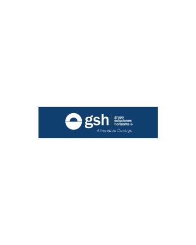 GRUPO SOLUCIONES HORIZONTE