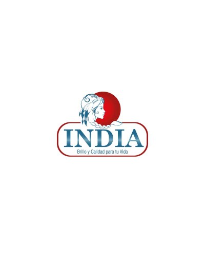 INDUSTRIA DE ALUMINIO INDIA SAS