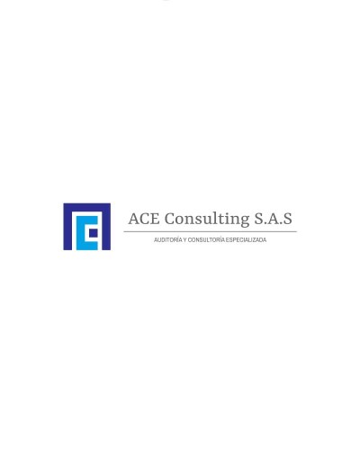 ACE CONSULTING SAS