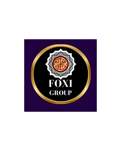 FOXI GROUP SAS