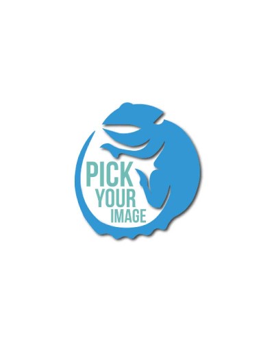 PICK YOUR IMAGE