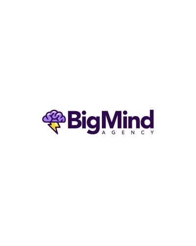 BIG MIND AGENCY SAS