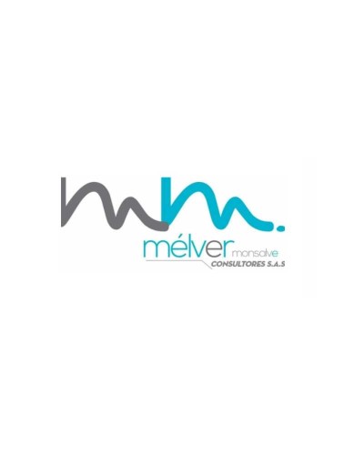 MELVER MONSALVE CONSULTORES SAS