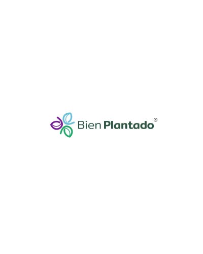 BIEN PLANTADO S.A.S