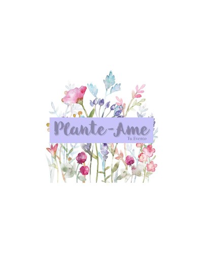 PLANTE-AME TU EVENTO SAS