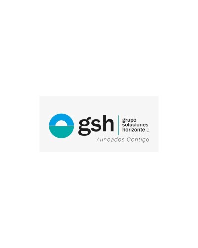 SOLUCIONES LABORALES HORIZONTE SAS
