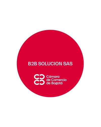 B2B SOLUCION SAS